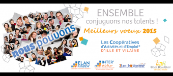 Les CAE d'Ille-et-Vilaine